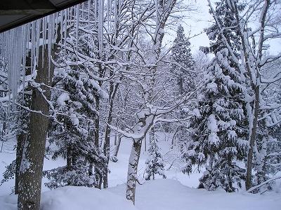 雪景色