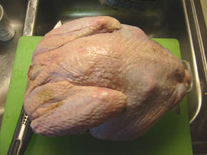 Turkeyその1