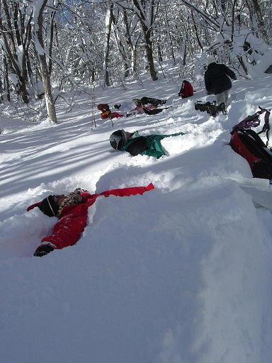 ニコバイ山に妖精現る…！！