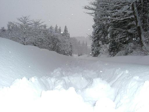 元旦の豪雪　