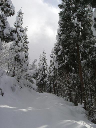 ニコバイ山探検隊で使った写真