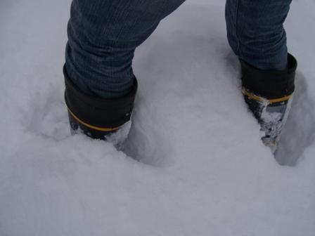 積雪このくらい