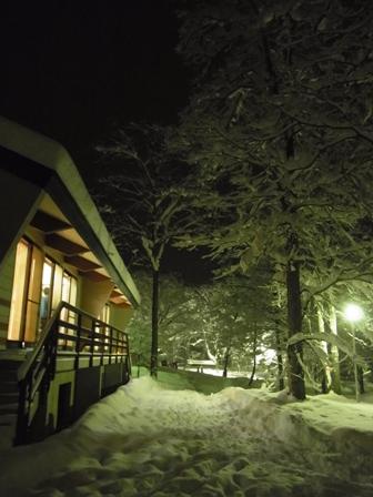 夜のラボランド1226