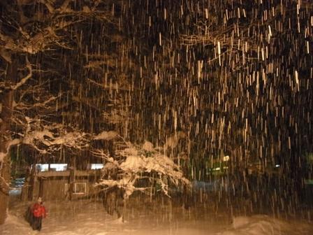 昨夜の雪