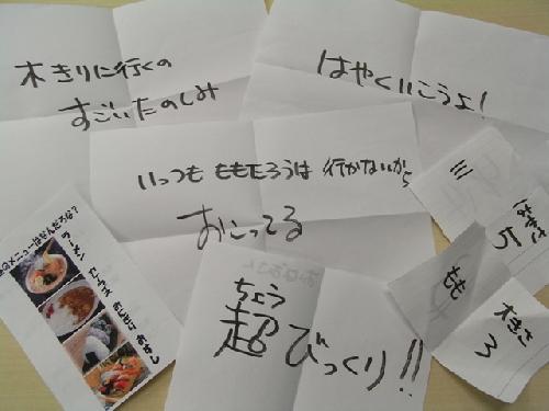 使ったカードたち