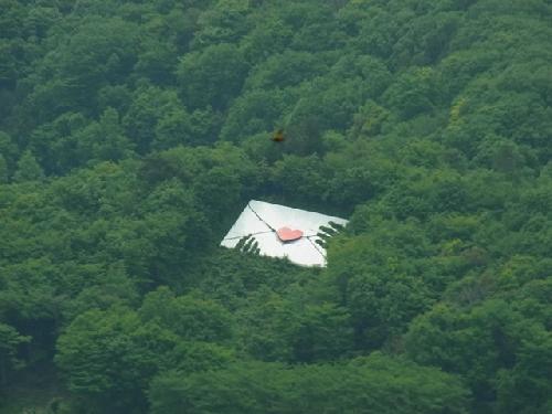 森のラブレター