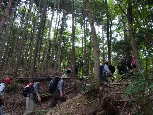 １３ＯＲＣ合宿関東ＯＡ１