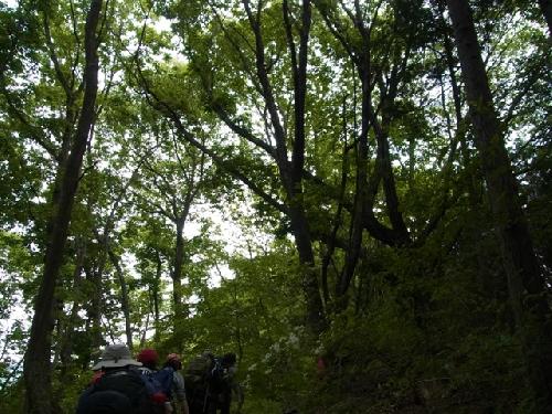 １３ＯＲＣ合宿関東ＯＡ２