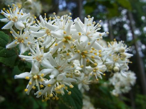 １３ＯＲＣ合宿関東ＯＡ４