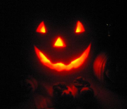 pumpkin2