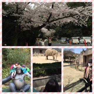 春休み第一弾