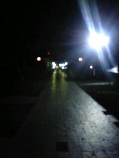 夜の参道