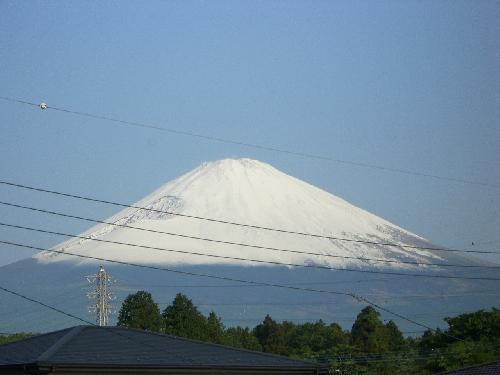 新雪の富士