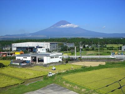 富士と稲刈り
