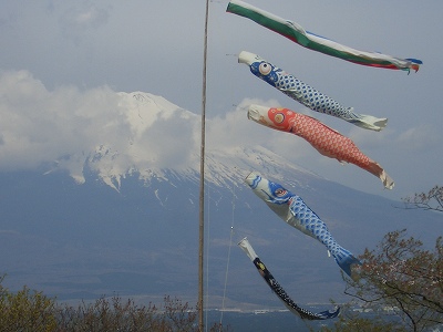 鯉のぼりと富士山