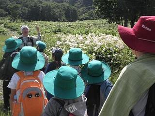 野外活動、自然観察隊