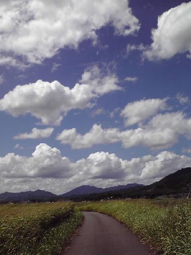 佐賀、白石町の風景