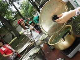 野外活動 草木染め