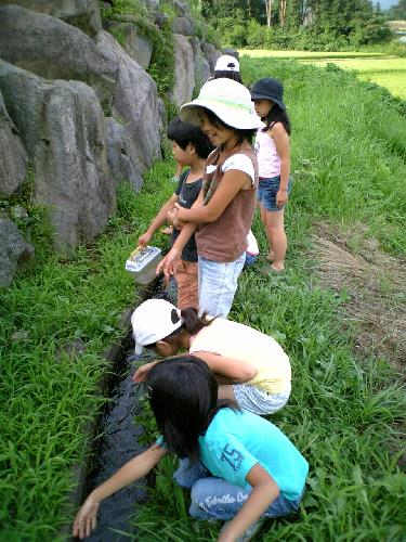 なんか見つけたの?