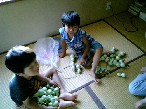 ひょうたんひょうたん