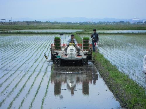 田植え機にのったよ!