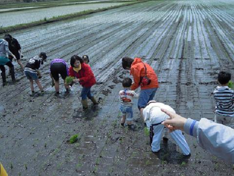 プレイルーム親子も田植え