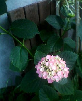 07_06_05-1.jpg