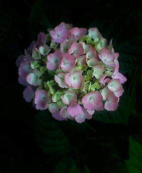 07_06_05-2.jpg