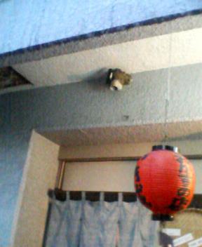 07_06_06-4.jpg