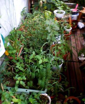 07_07_11-2.jpg