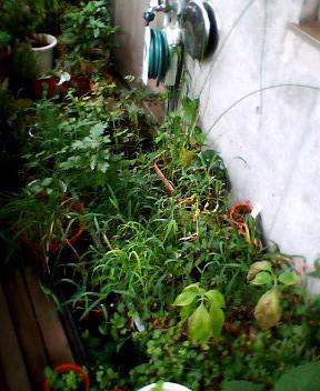 07_07_11-3.jpg
