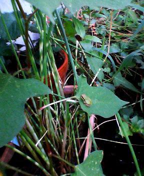 07_07_15-4.jpg