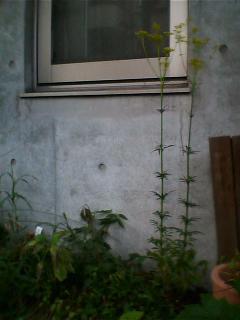 07_07_22-3.jpg