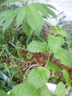 07_08_13-1.jpg