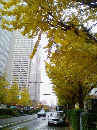 071203-1.jpg