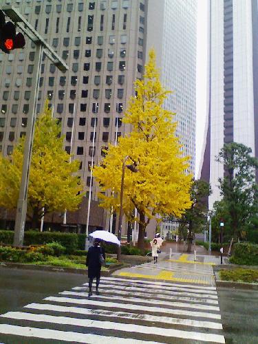 071203-2.jpg