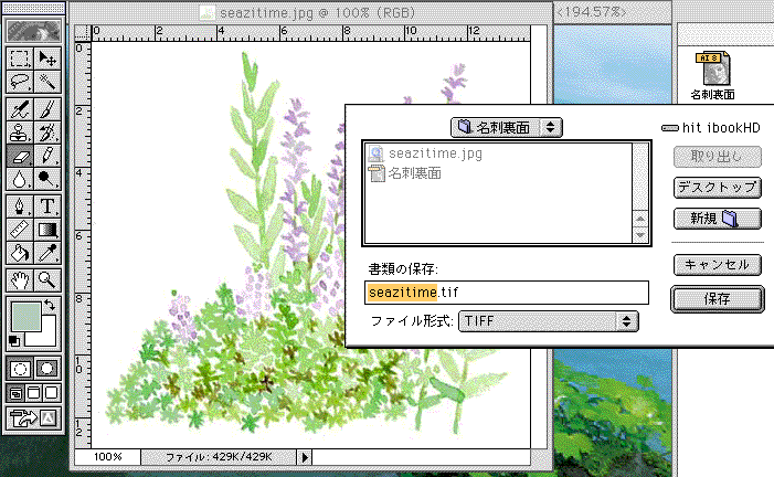 12.gif