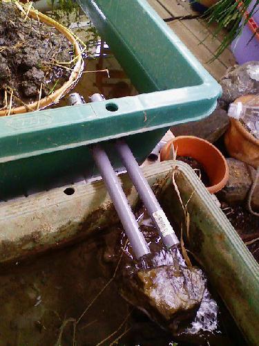 080114-pipe2.jpg