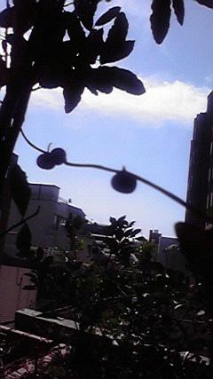 P09.JPG