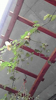 P11.JPG