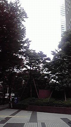 P1000007.JPG