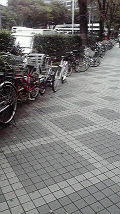 P1000008.JPG