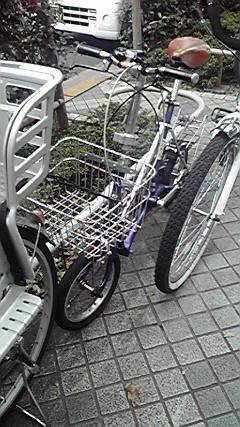 P1000009.JPG