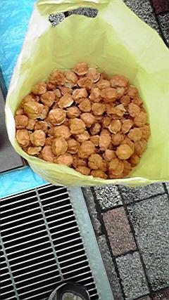 P1000024.JPG