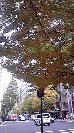 P18.JPG