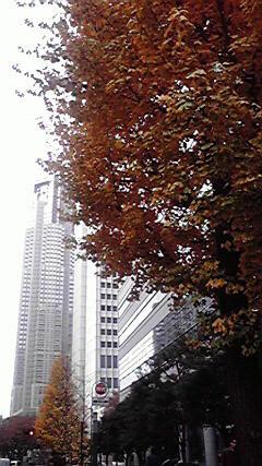 P19.JPG