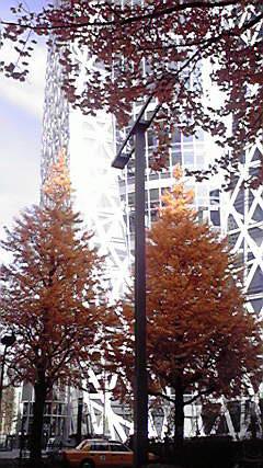 P03.JPG
