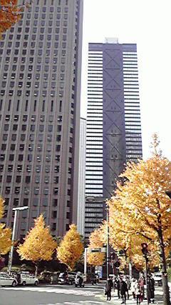 P07.JPG