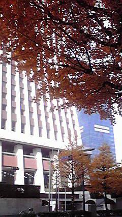 P08.JPG