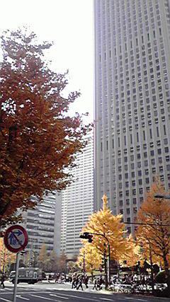 P09.JPG